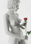 Red_Rose_t