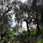 DSC01135 stitch [2016x2016]